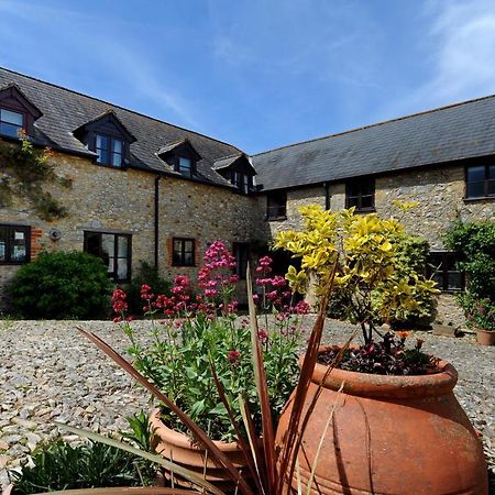 Rose Cottage Musbury Extérieur photo