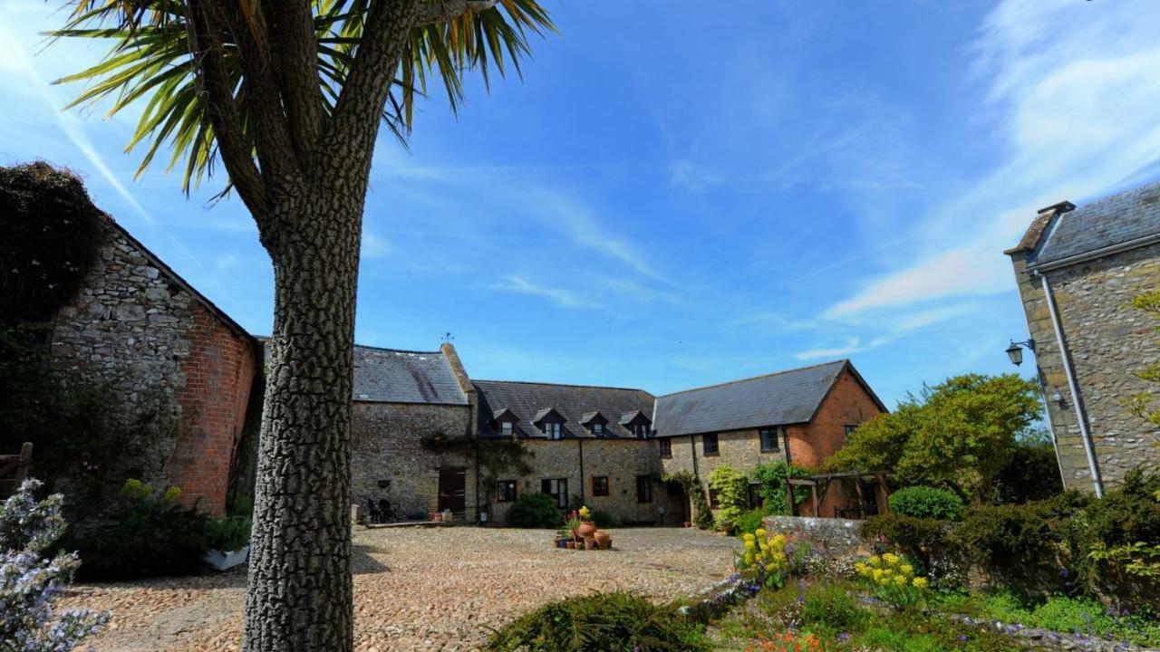 Rose Cottage Musbury Extérieur photo